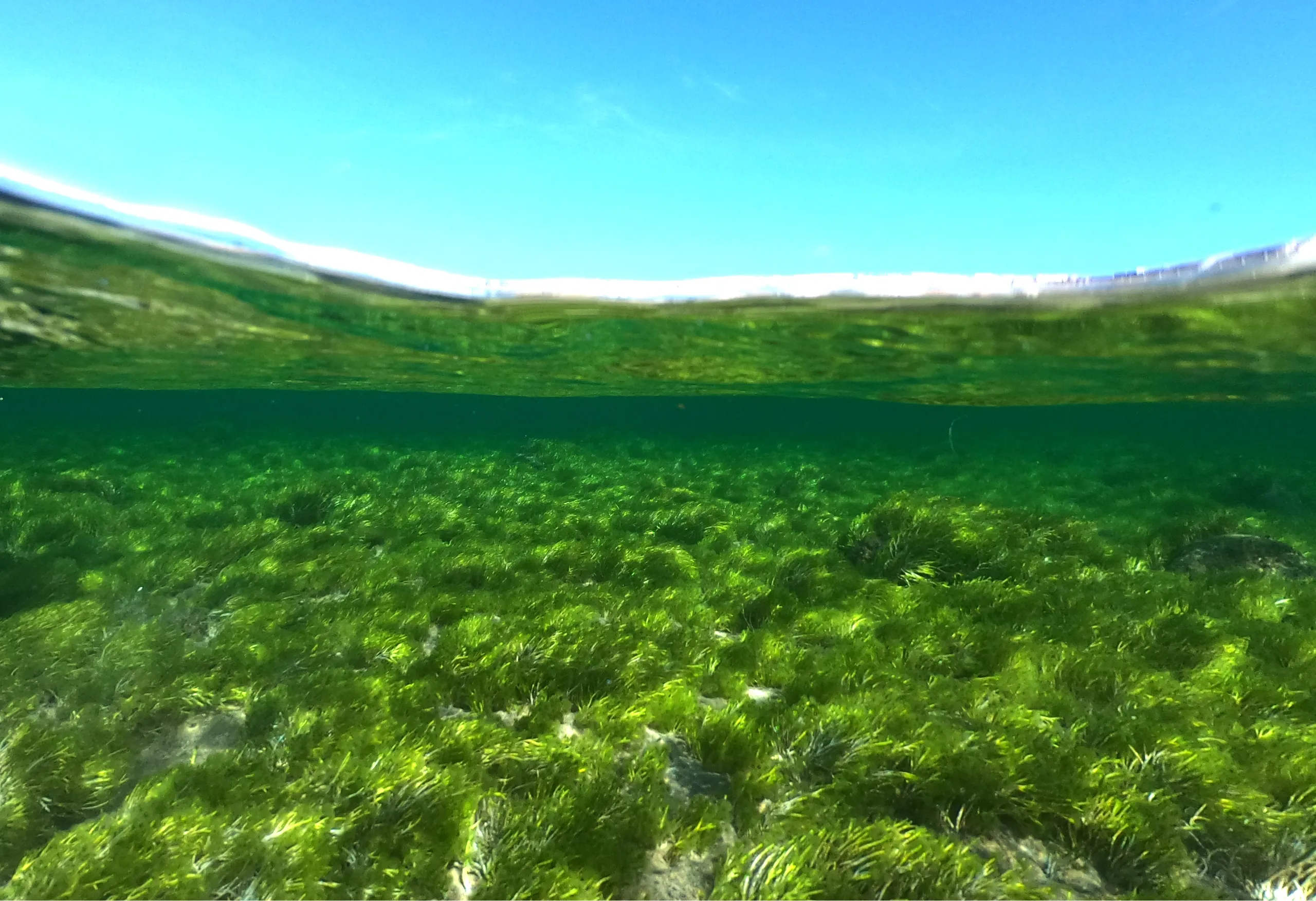 Playa de Las Canteras, Las Palmas de Gran Canaria