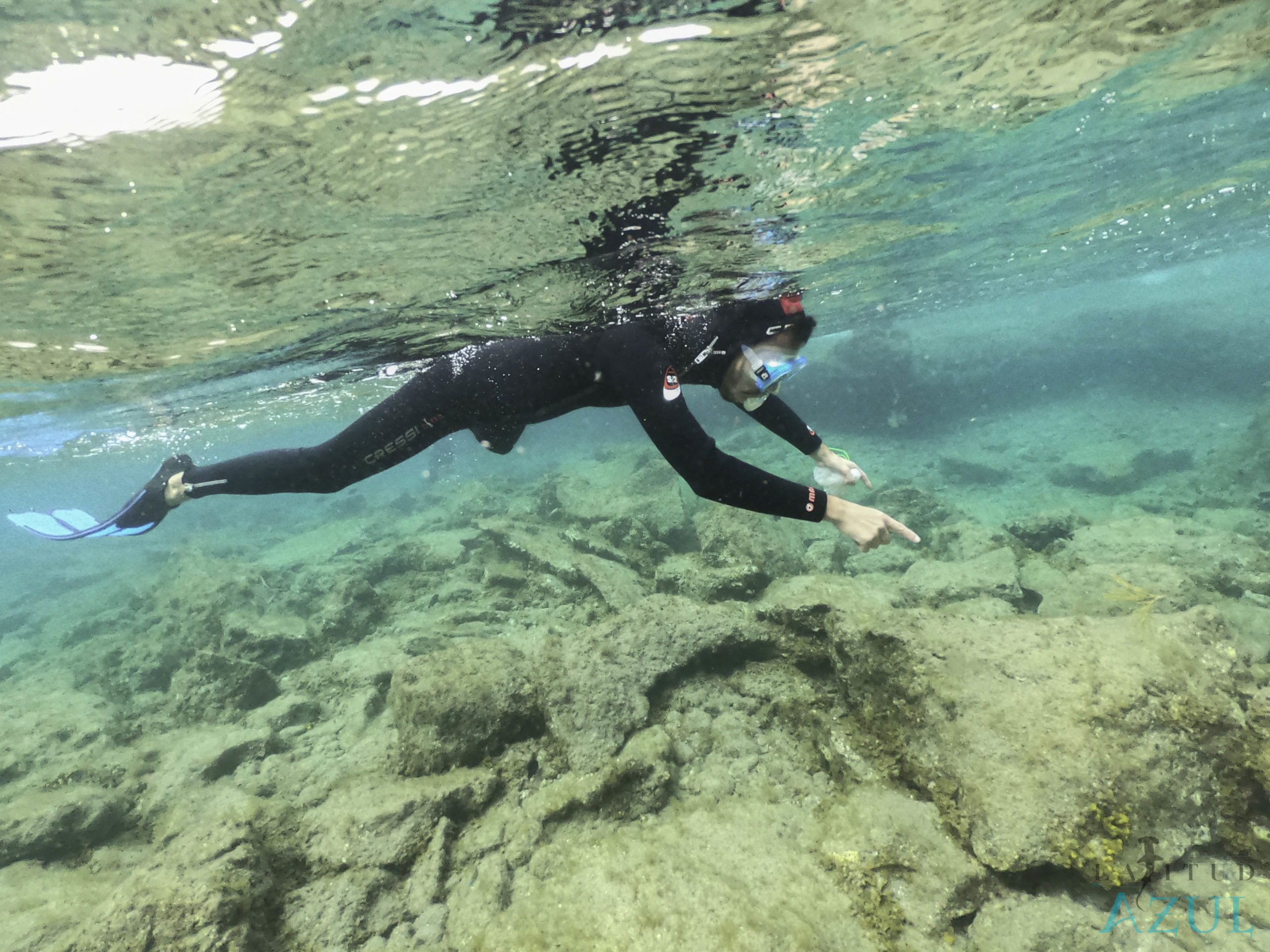 latitud azul bazules 11 scaled