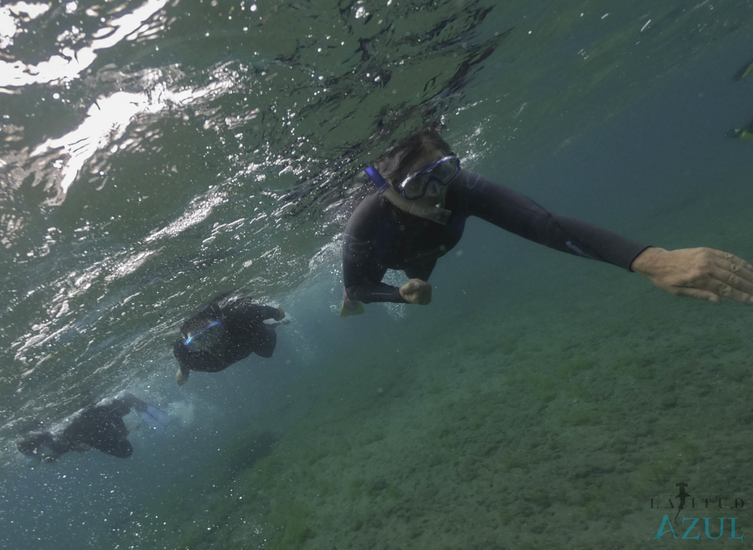 latitud azul bazules 5 scaled