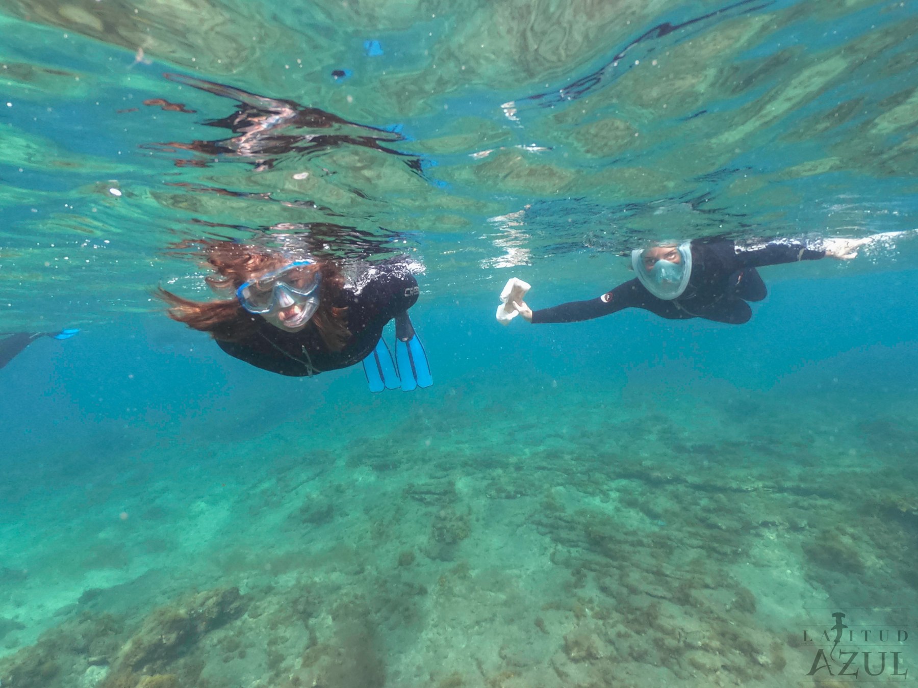 snorkeling experience  11