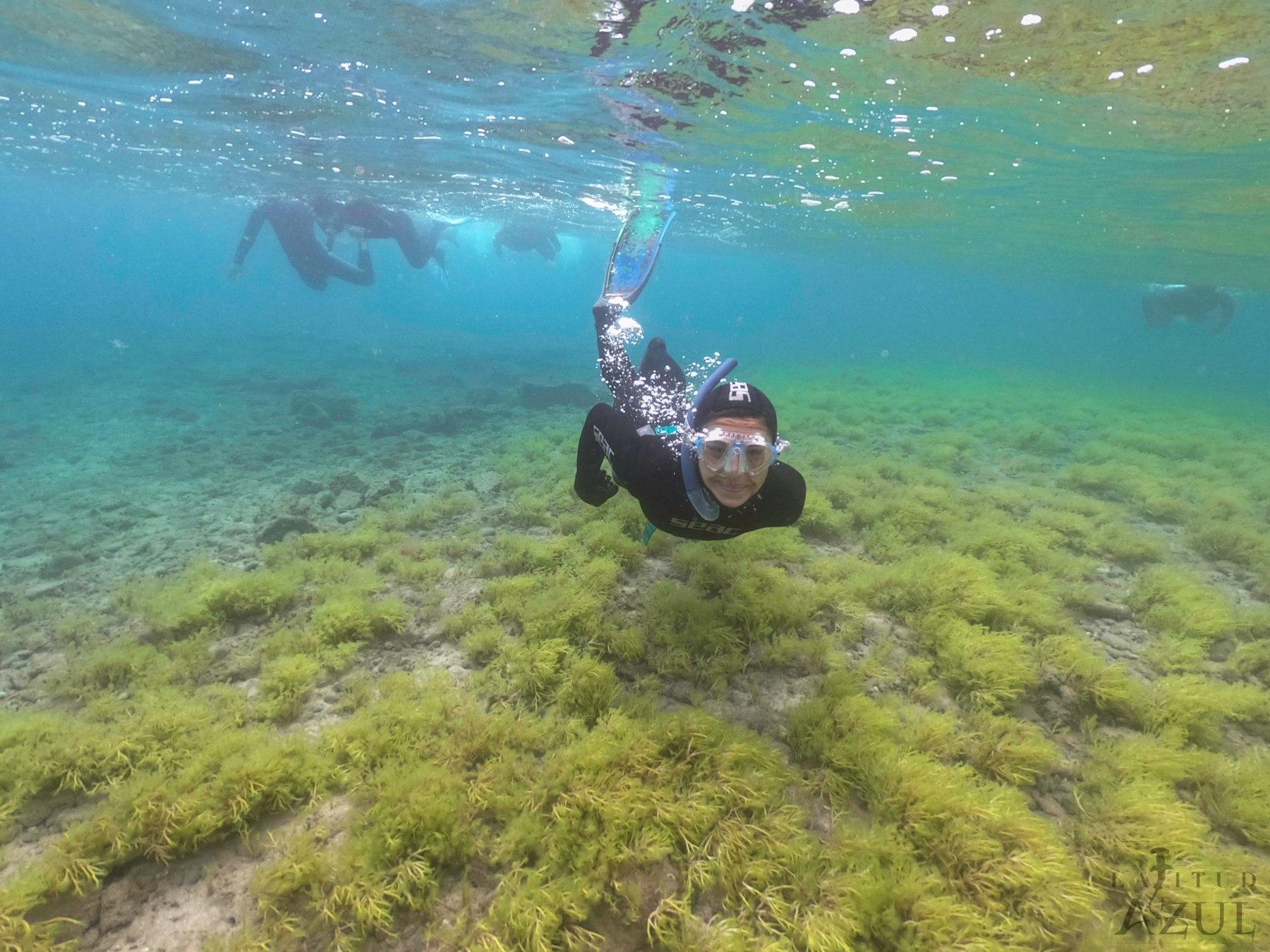 snorkeling experience  4